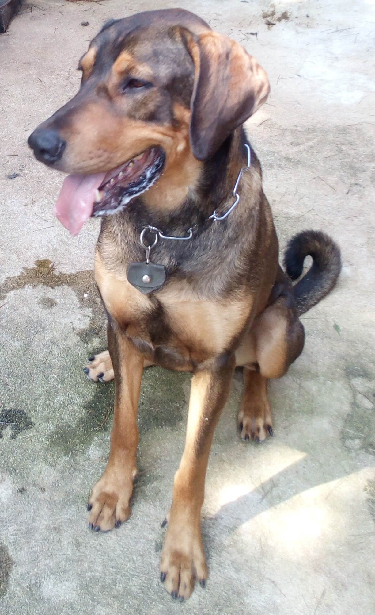 Max